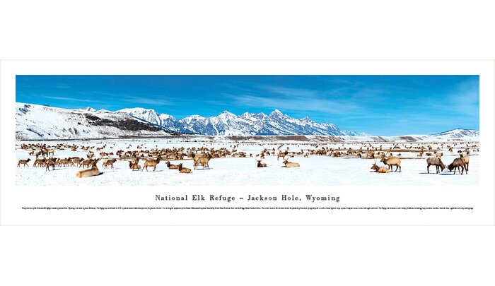 national elk refuge jackson